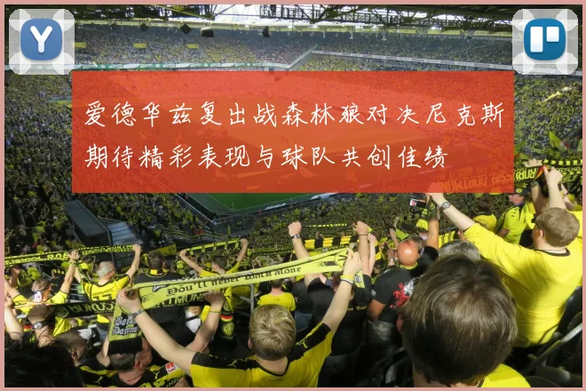 爱德华兹复出战森林狼对决尼克斯期待精彩表现与球队共创佳绩